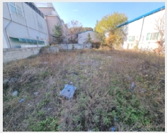  2025Ÿ��3970  �������