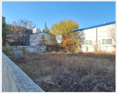  2025Ÿ��3970  �������