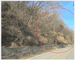  2025Ÿ��4006 ����Ư����ġ��  �屺�� ���и� ��2-5      ����(�Ӿ�)���