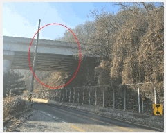  2025Ÿ��4006 ����Ư����ġ��  �屺�� ���и� ��2-5      ����(�Ӿ�)���