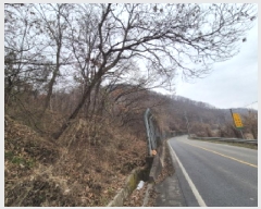  2025Ÿ��4006 ����Ư����ġ��  �屺�� ���и� ��2-5      ����(�Ӿ�)���