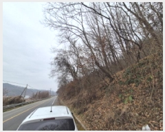  2025Ÿ��4006 ����Ư����ġ��  �屺�� ���и� ��2-5      ����(�Ӿ�)���