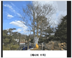  2025Ÿ501394 Ưġ ݳ  216       ð