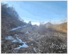  2025Ÿ501820 泲 ݻ걺  õ 196-38      (Ӿ)