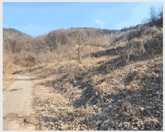  2025Ÿ501820 泲 ݻ걺  õ 196-38      (Ӿ)