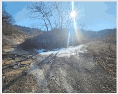  2025Ÿ501820 泲 ݻ걺  õ 196-38      (Ӿ)