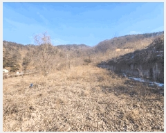  2025Ÿ501820 泲 ݻ걺  õ 196-38      (Ӿ)