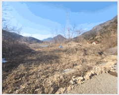  2025Ÿ501820 泲 ݻ걺  õ 196-38      (Ӿ)