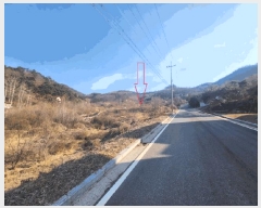  2025Ÿ501820 泲 ݻ걺  õ 196-38      (Ӿ)