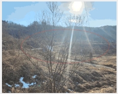  2025Ÿ501820 泲 ݻ걺  õ 196-38      (Ӿ)