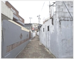  2025Ÿ501956  ߱ ﵿ 519-34       ð