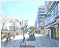  2025Ÿ��502099 ����Ư����ġ�� ������ 739 �����Ӹ��� 8��831ȣ      ��������Ȱ���ð��