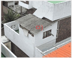  2025Ÿ��502123  ���ð��