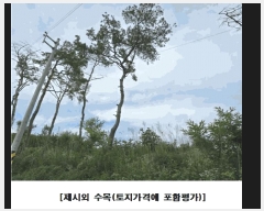  2025Ÿ��502437  �Ӿ߰��