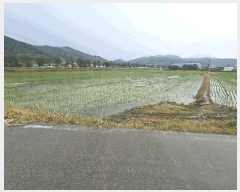  2025Ÿ��502569  ����