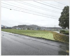  2025Ÿ��502569  ����