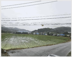  2025Ÿ��502569  ����