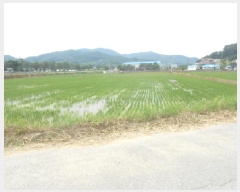  2025Ÿ��502569  ����