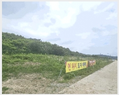  2025Ÿ502799 Ưġ  ָ 63-3       (Ӿ)