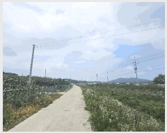  2025Ÿ502799 Ưġ  ָ 63-3       (Ӿ)