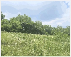  2025Ÿ502799 Ưġ  ָ 63-3       (Ӿ)