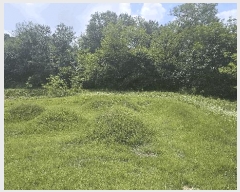  2025Ÿ502799 Ưġ  ָ 63-3       (Ӿ)