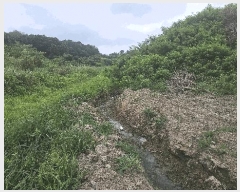  2025Ÿ502799 Ưġ  ָ 63-3       (Ӿ)