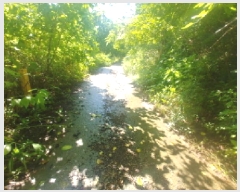  2025Ÿ��502858  �����