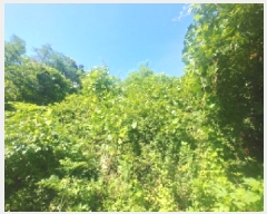  2025Ÿ��502858  �����