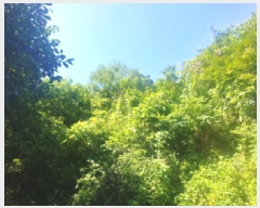  2025Ÿ��502858  �����