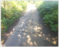  2025Ÿ��502858  �����