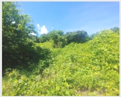  2025Ÿ��502858  �����