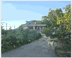  2025Ÿ��502989  ���ð��