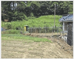  2025Ÿ��503040 �泲 �ݻ걺 �ݼ��� ������ 522-19      ����(��1)���