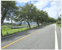  2025Ÿ��503040 �泲 �ݻ걺 �ݼ��� ������ 522-19      ����(��1)���