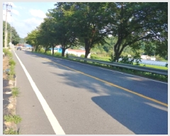  2025Ÿ��503040 �泲 �ݻ걺 �ݼ��� ������ 522-19      ����(��1)���