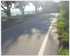  2025Ÿ��503040 �泲 �ݻ걺 �ݼ��� ������ 522-19      ����(��1)���