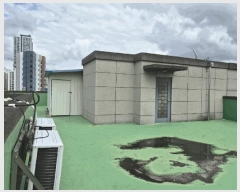  2025Ÿ��503348  �ٸ����ð��