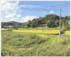  2025Ÿ��503424  �����