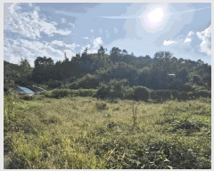  2025Ÿ��503424  �����