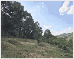  2025Ÿ��503424  �����