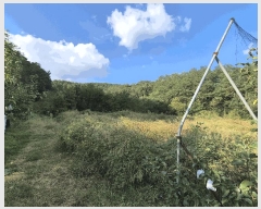  2025Ÿ��503424  �����