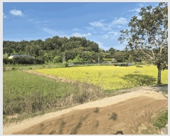  2025Ÿ��503424  �����