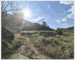  2025Ÿ��503424  �����