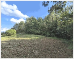  2025Ÿ��503424  �����