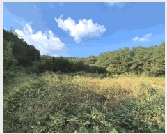  2025Ÿ��503424  �����