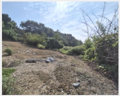  2025Ÿ��503444 ����Ư����ġ�� �屺�� �뱳�� 74-47       ����(�Ӿ�)���