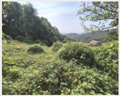  2025Ÿ��503444 ����Ư����ġ�� �屺�� �뱳�� 74-47       ����(�Ӿ�)���