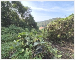  2025Ÿ��503444 ����Ư����ġ�� �屺�� �뱳�� 74-47       ����(�Ӿ�)���