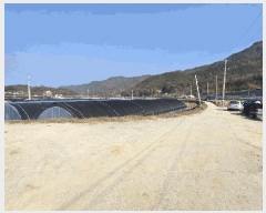  2025Ÿ��503724  ����